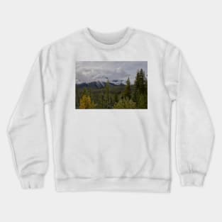 850_5237 Crewneck Sweatshirt